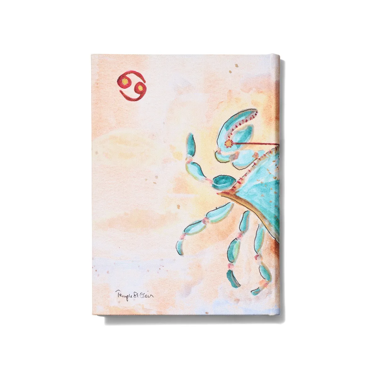 CANCER NOTEBOOK