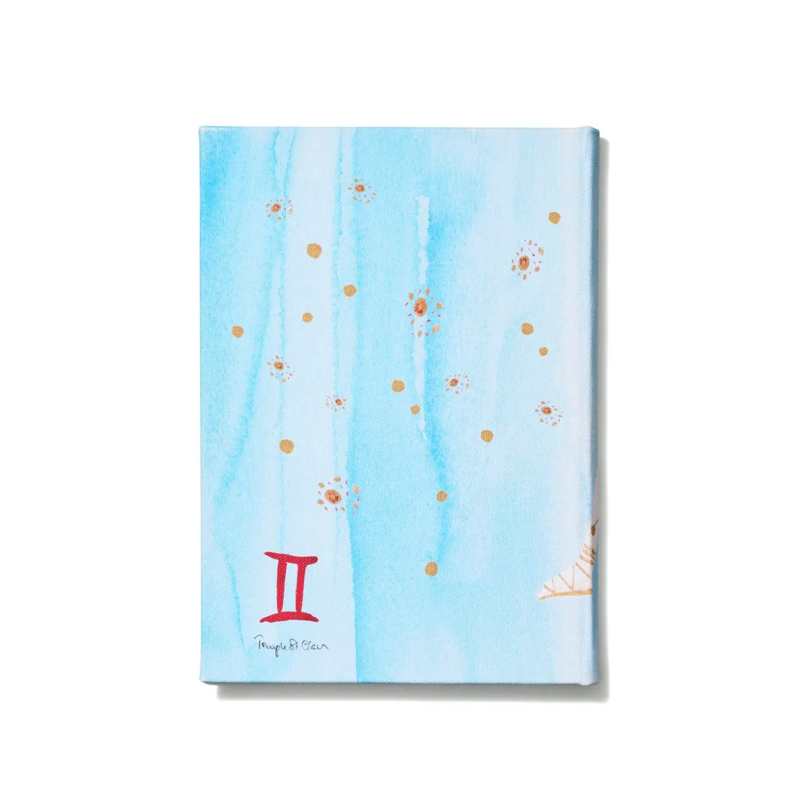 GEMINI NOTEBOOK