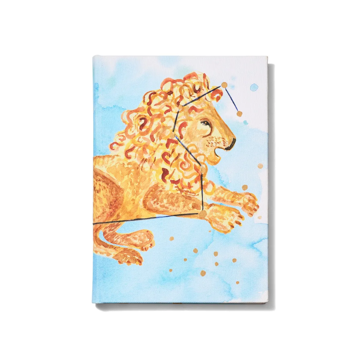 LEO NOTEBOOK