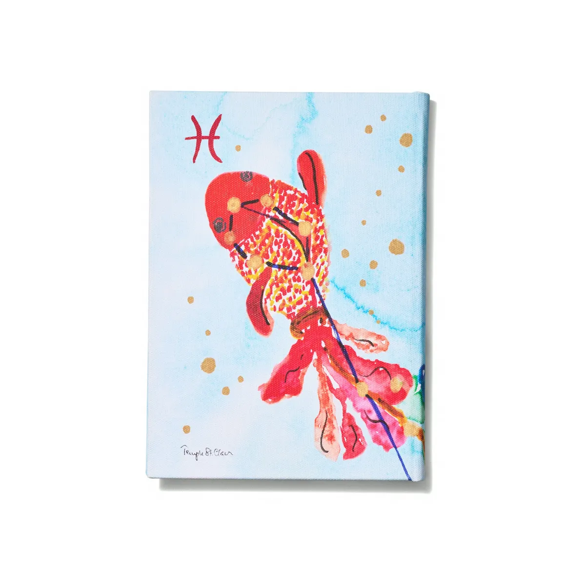 PISCES NOTEBOOK