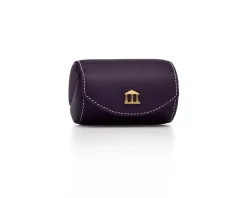 THE ON-THE-GO CASE